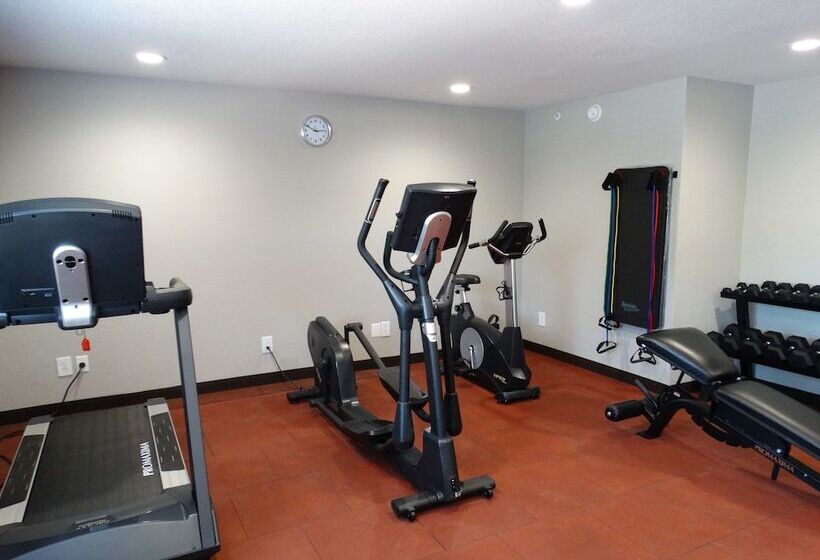 فندق Best Western Dewitt