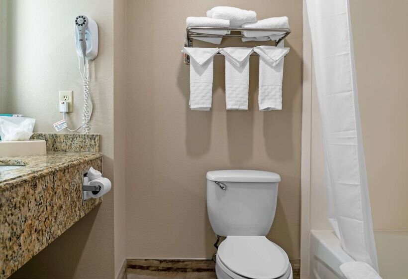 ホテル Best Western Executive Inn & Suites