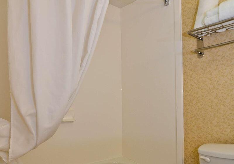 ホテル Best Western Executive Inn & Suites