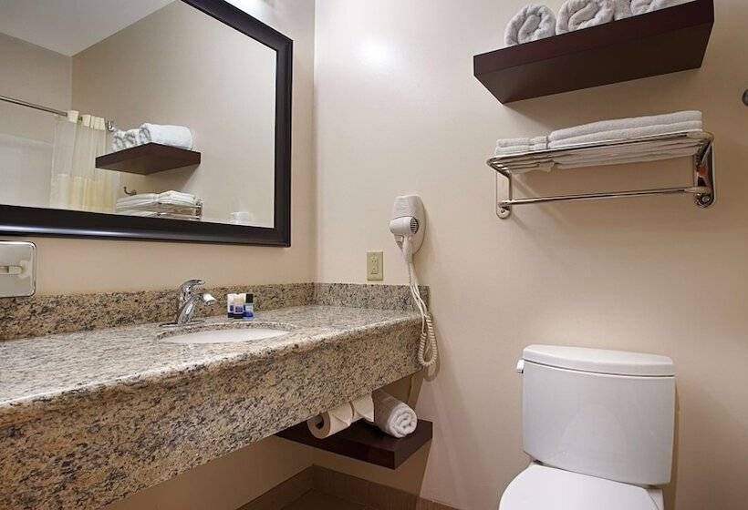 فندق Best Western Plus Finger Lakes Inn & Suites