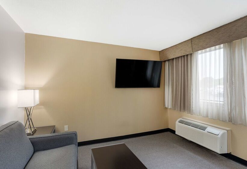 ホテル Best Western Plus Reading Inn & Suites
