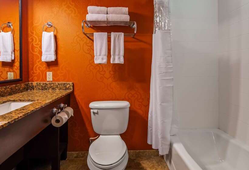 فندق Best Western Plus Tupelo Inn & Suites