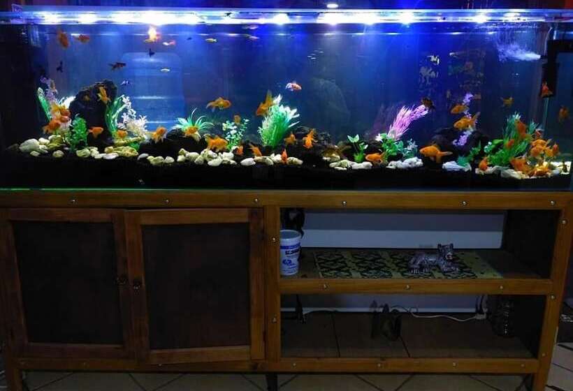 酒店 Casa De Los Arcángeles