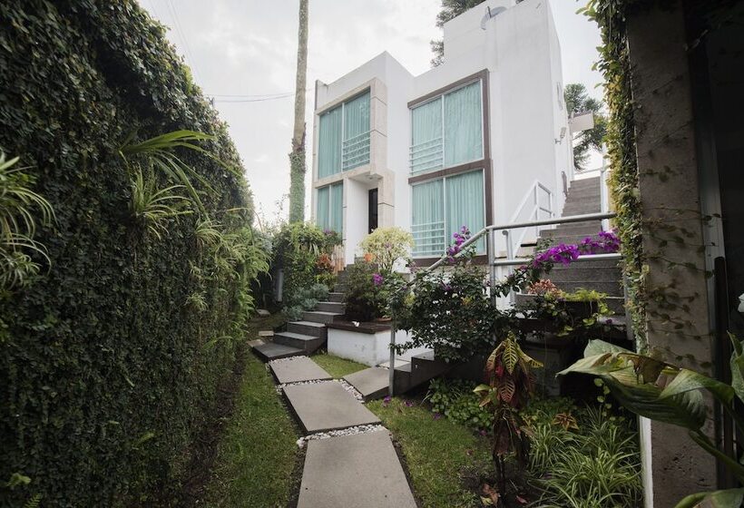 Colombe Hotel Boutique