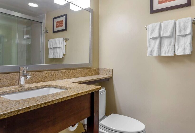 هتل Comfort Inn Hammond I94