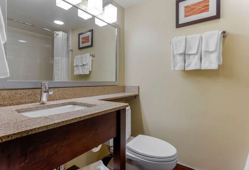 هتل Comfort Inn Hammond I94