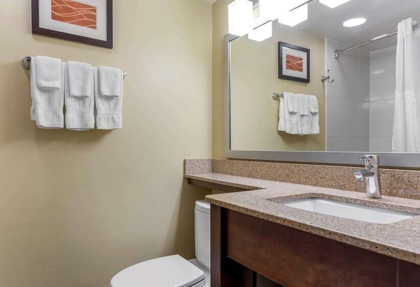 هتل Comfort Inn Hammond I94