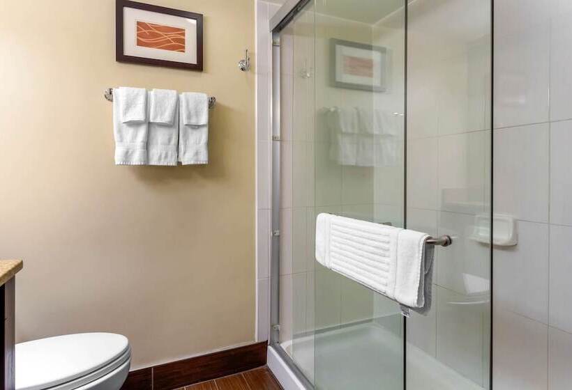 هتل Comfort Inn Hammond I94