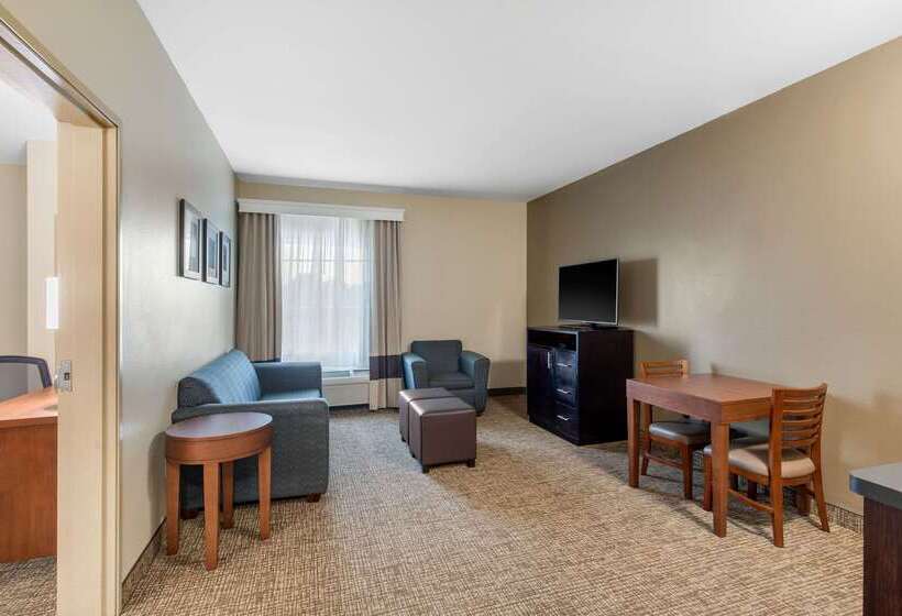 酒店 Comfort Inn & Suites Cedar Hill Duncanville