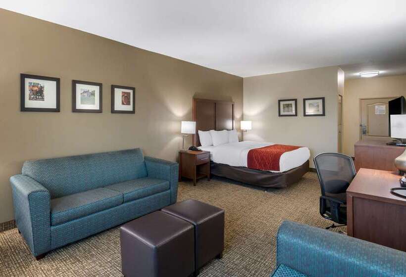 酒店 Comfort Inn & Suites Cedar Hill Duncanville