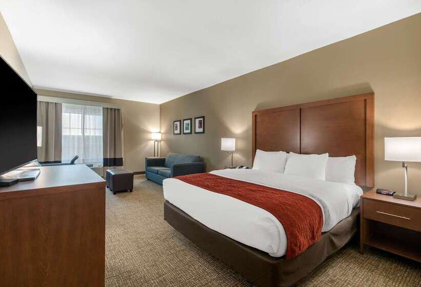 酒店 Comfort Inn & Suites Cedar Hill Duncanville