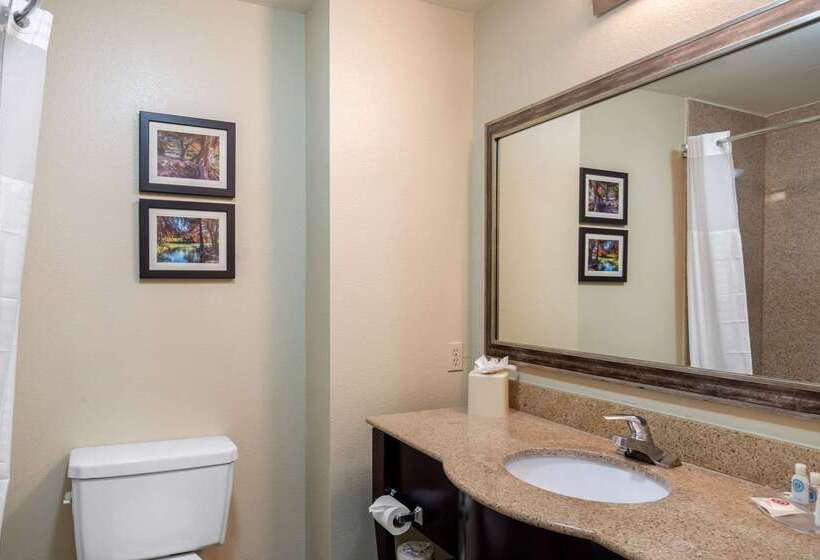 酒店 Comfort Inn & Suites Cedar Hill Duncanville