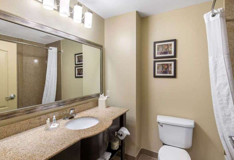 酒店 Comfort Inn & Suites Cedar Hill Duncanville