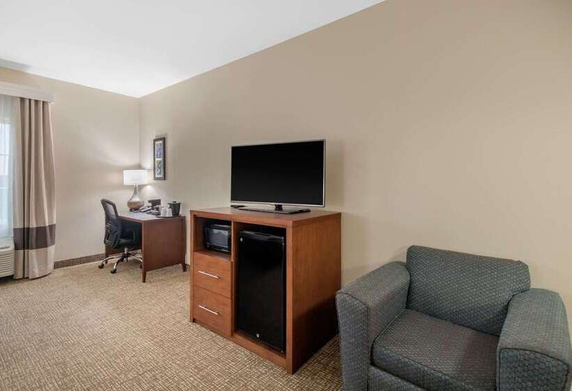 酒店 Comfort Inn & Suites Cedar Hill Duncanville