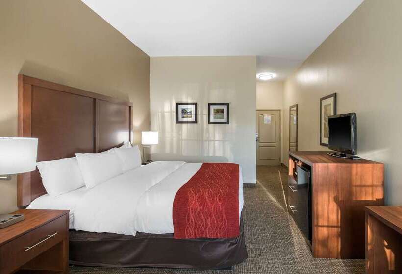 酒店 Comfort Inn & Suites Cedar Hill Duncanville