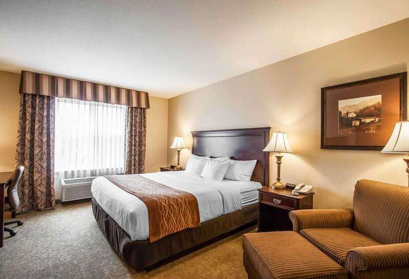 호텔 Comfort Inn & Suites Mcminnville Wine Country