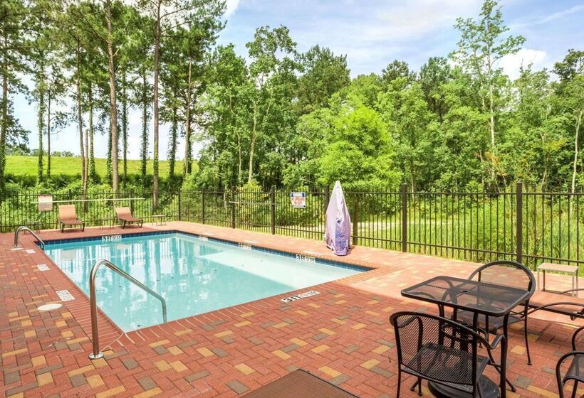 فندق Comfort Suites Mandeville  Covington