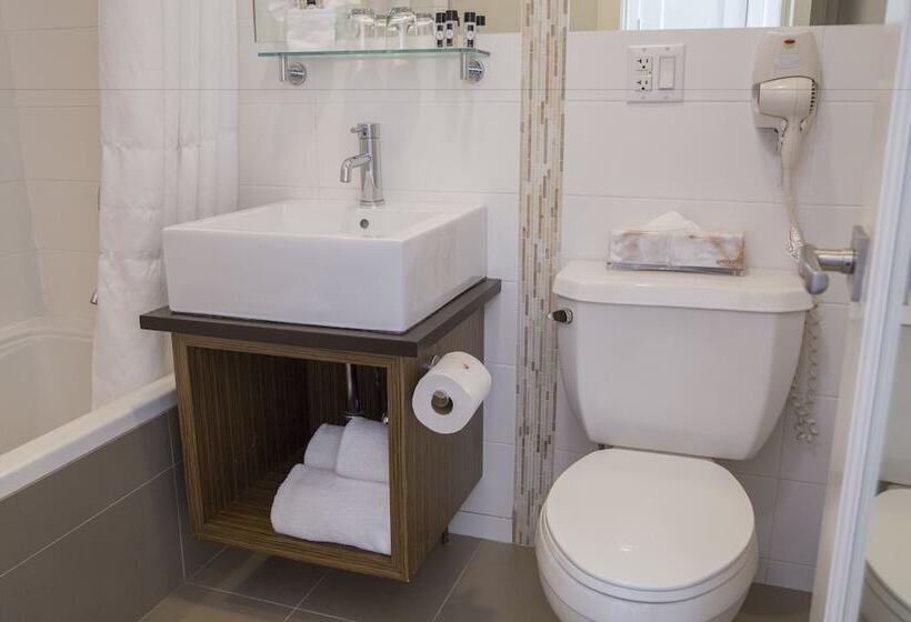 Condor Hotel By Luxurban