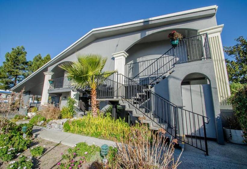 فندق Continental Inn