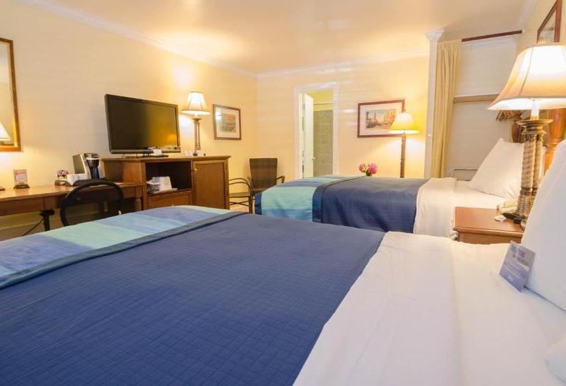 فندق Continental Inn