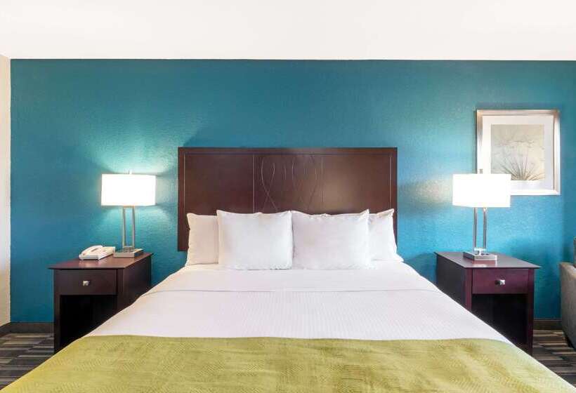 酒店 Days Inn By Wyndham Snyder