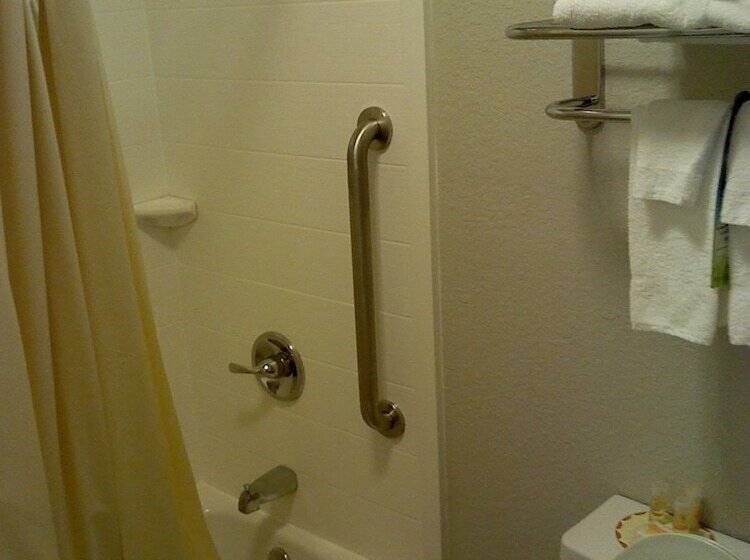 酒店 Days Inn By Wyndham Snyder