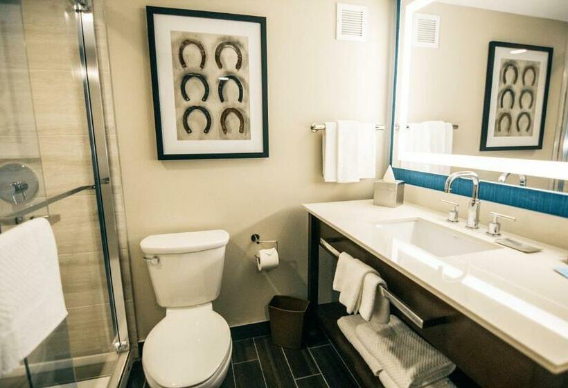 Hotel Doubletree By Hilton Lubbock  University Area