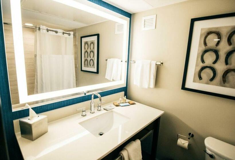 Hotel Doubletree By Hilton Lubbock  University Area