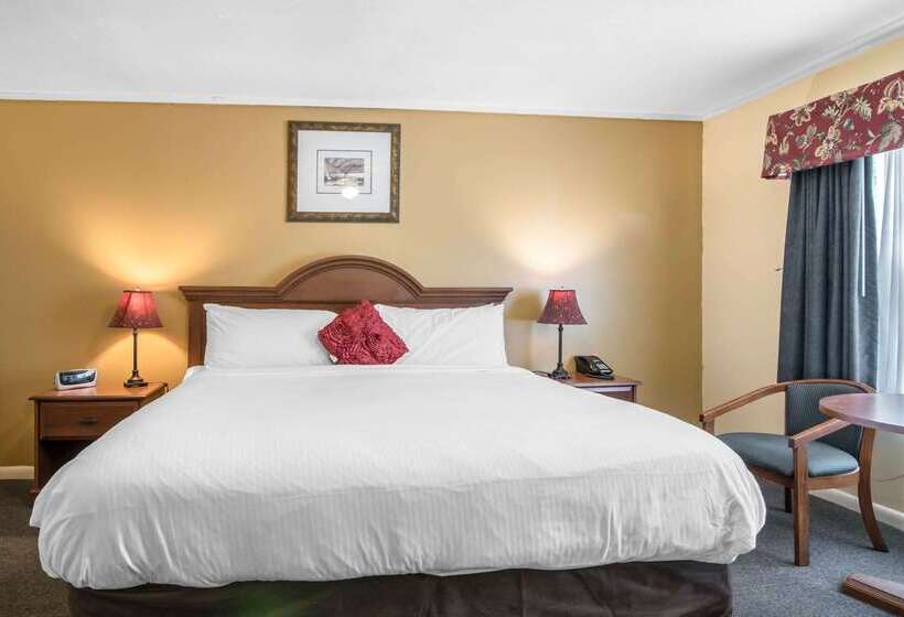 فندق Econo Lodge Inn & Suites