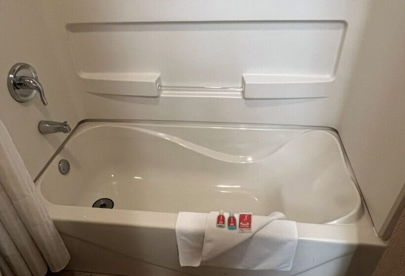 ホテル Econo Lodge Inn & Suites