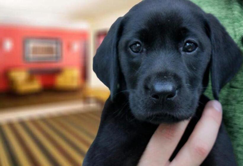 호텔 Extended Stay America Suites Los Angeles Simi Valley