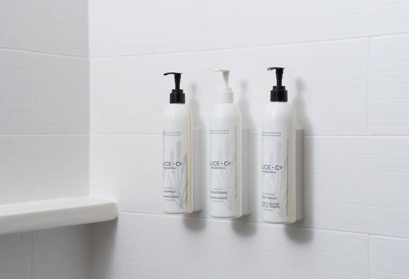 فندق Fairfield Inn & Suites By Marriott Jacksonville