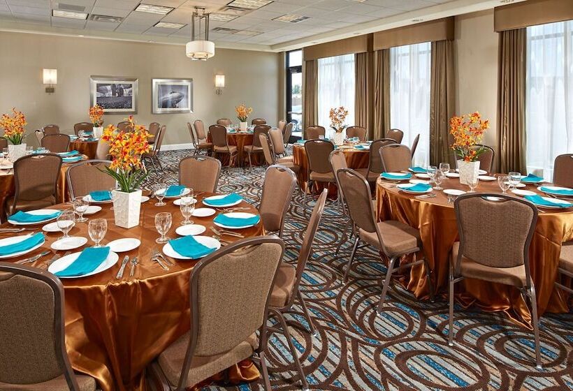 فندق Hilton Garden Inn Los Angeles/redondo Beach