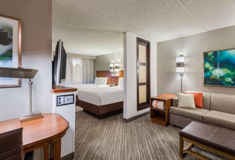 Отель Hyatt Place Atlanta Duluth Johns Creek
