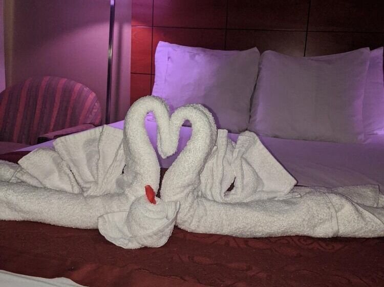 Отель Jets Motor Inn