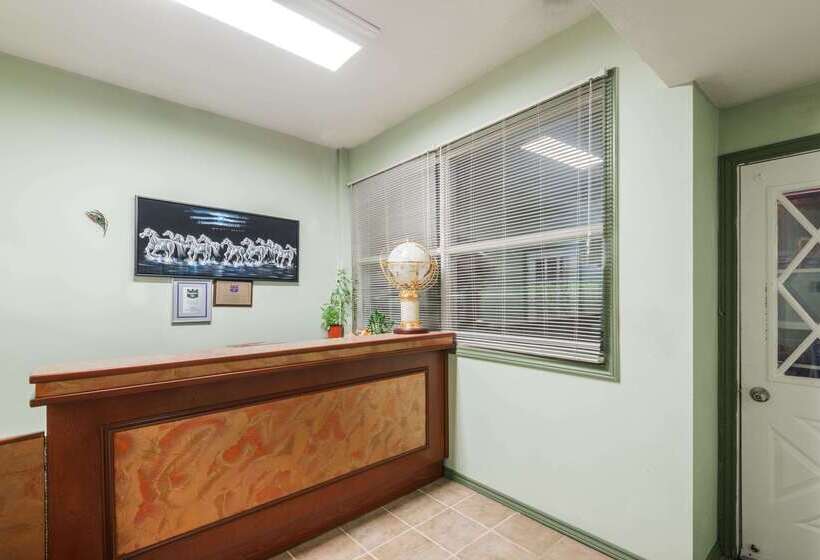 فندق Knights Inn Bracebridge