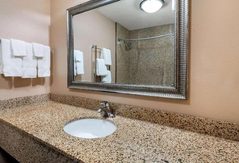 هتل La Quinta By Wyndham Bozeman