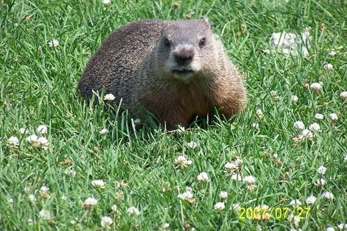 호텔 Les Falaises Ski-in Ski-out Condo