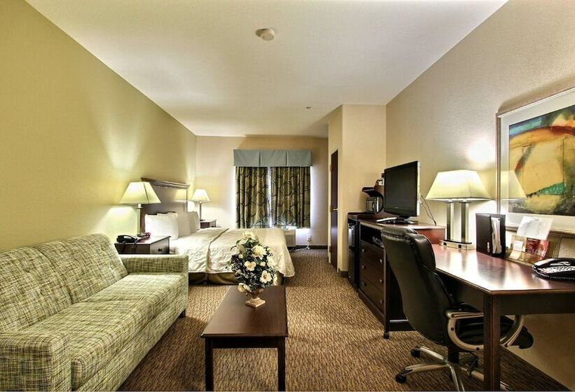 هتل Magnolia Inn And Suites Pooler