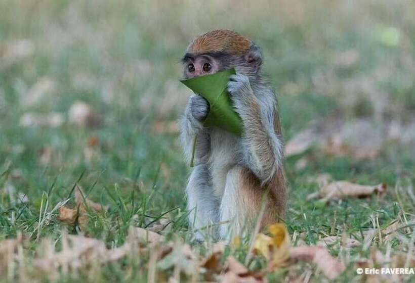 فندق Chambres D Hôtes Manoir De Beaumarchais
