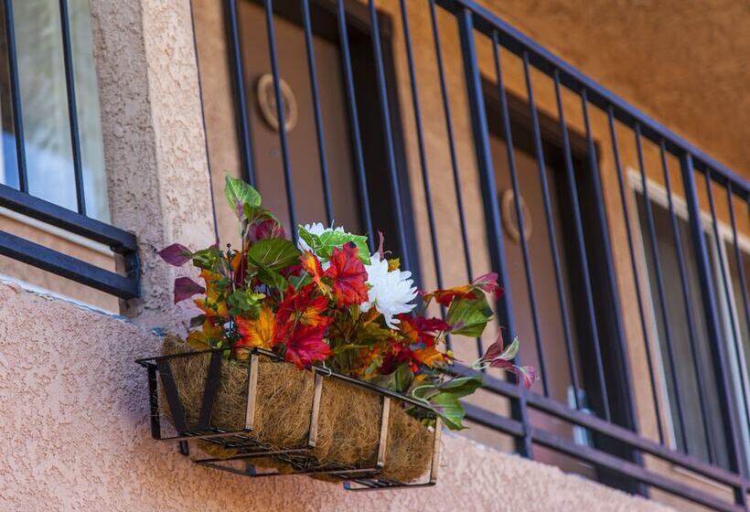 호텔 Mountain View Lodge