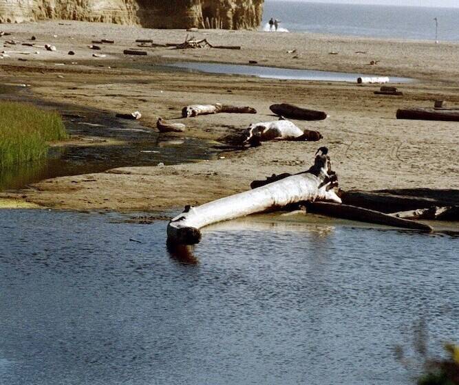 فندق Pescadero Creek Inn