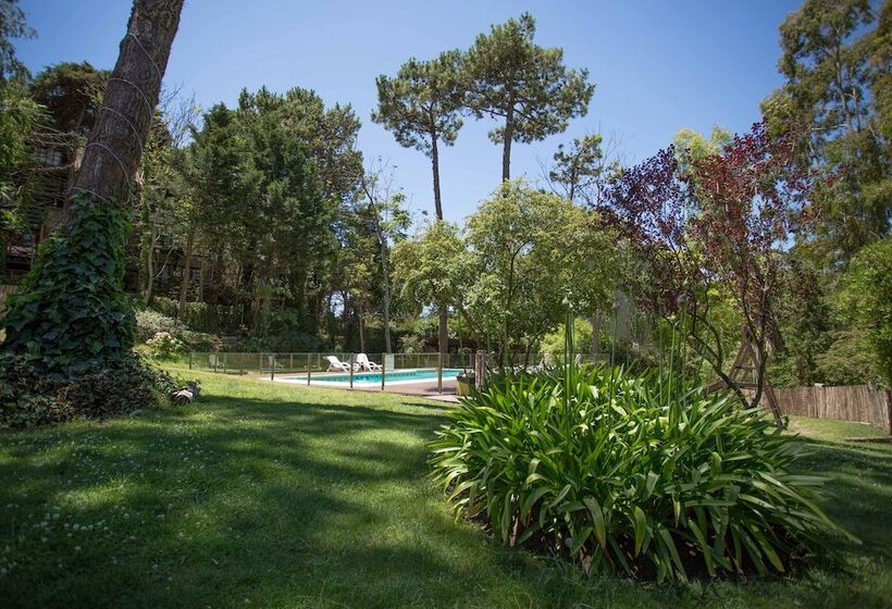 Hotel Posada Del Bosque By Hs