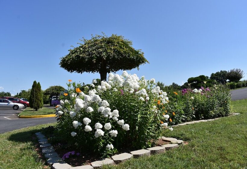 Motel 6 Culpeper, Va
