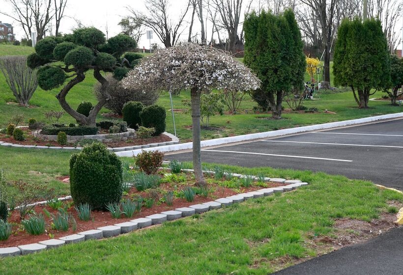 Motel 6 Culpeper, Va