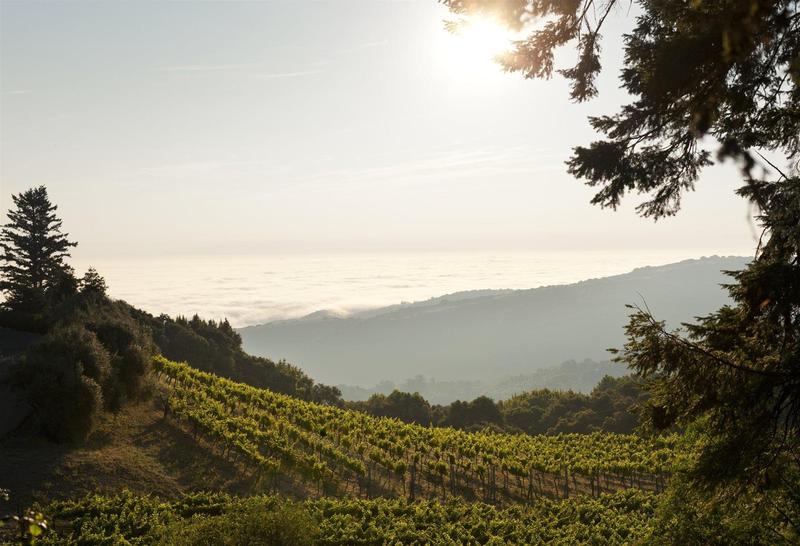 فندق Rosewood Sand Hill