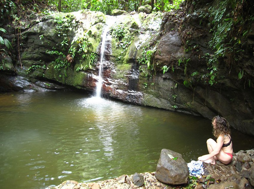 فندق Samasati Nature Retreat