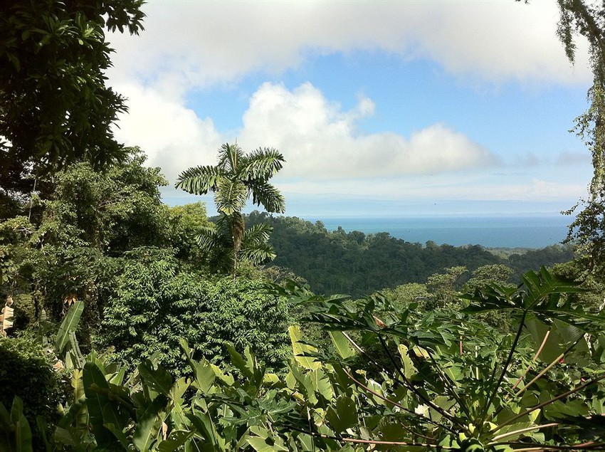 فندق Samasati Nature Retreat