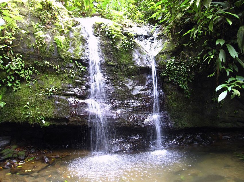 فندق Samasati Nature Retreat