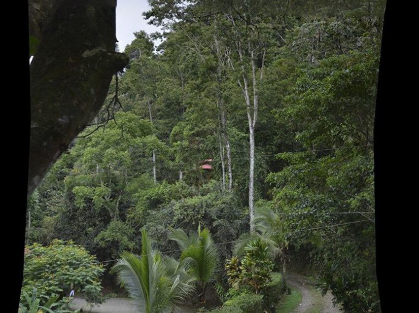 فندق Samasati Nature Retreat